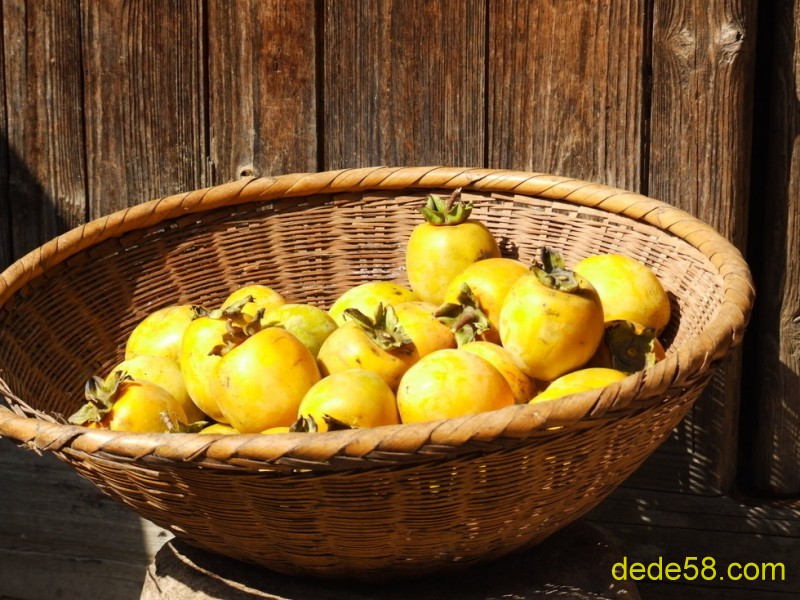 С��ũ��������